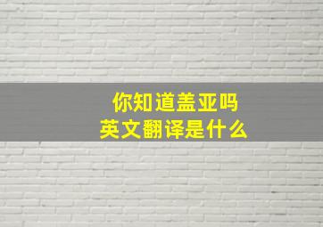 你知道盖亚吗英文翻译是什么