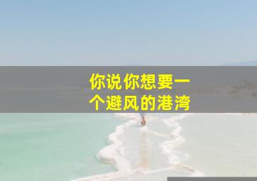 你说你想要一个避风的港湾