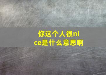 你这个人很nice是什么意思啊