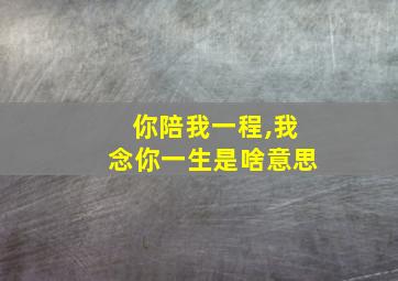 你陪我一程,我念你一生是啥意思