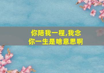 你陪我一程,我念你一生是啥意思啊