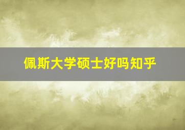 佩斯大学硕士好吗知乎