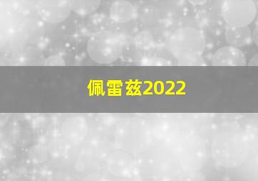 佩雷兹2022