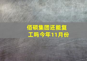 佰硕集团还能复工吗今年11月份