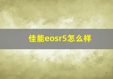 佳能eosr5怎么样