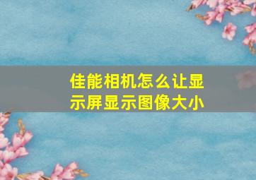 佳能相机怎么让显示屏显示图像大小