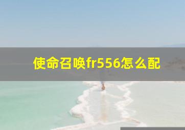 使命召唤fr556怎么配