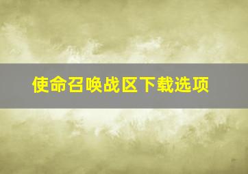 使命召唤战区下载选项