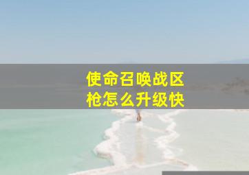 使命召唤战区枪怎么升级快