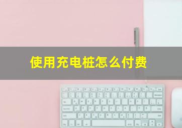 使用充电桩怎么付费