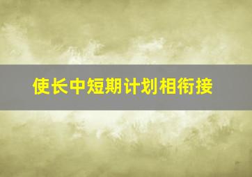 使长中短期计划相衔接