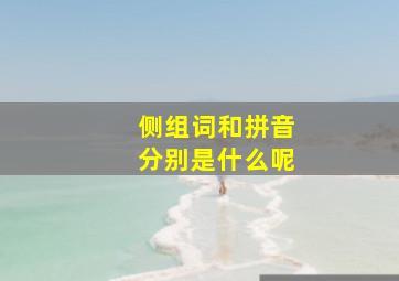 侧组词和拼音分别是什么呢