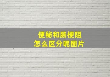 便秘和肠梗阻怎么区分呢图片