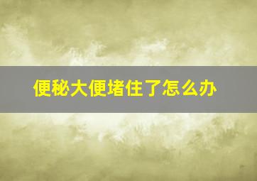 便秘大便堵住了怎么办