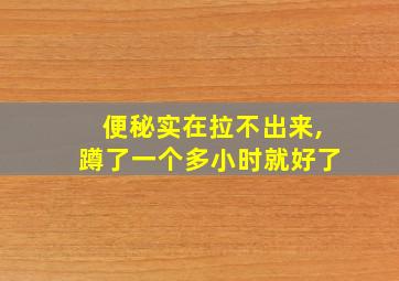 便秘实在拉不出来,蹲了一个多小时就好了