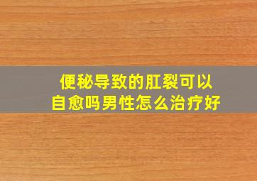 便秘导致的肛裂可以自愈吗男性怎么治疗好