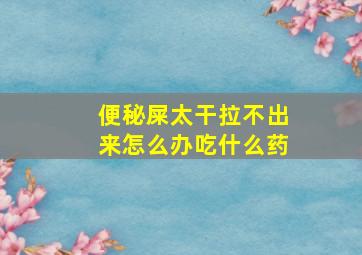 便秘屎太干拉不出来怎么办吃什么药