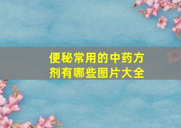 便秘常用的中药方剂有哪些图片大全