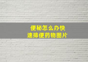 便秘怎么办快速排便药物图片