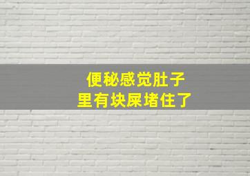 便秘感觉肚子里有块屎堵住了