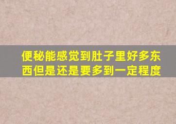 便秘能感觉到肚子里好多东西但是还是要多到一定程度