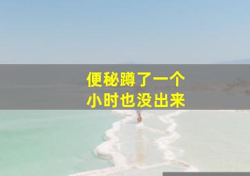 便秘蹲了一个小时也没出来