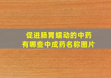 促进肠胃蠕动的中药有哪些中成药名称图片