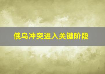 俄乌冲突进入关键阶段