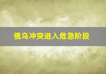 俄乌冲突进入危急阶段