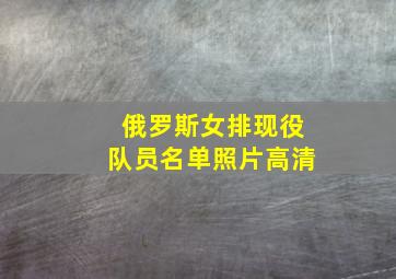 俄罗斯女排现役队员名单照片高清