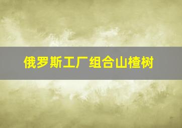 俄罗斯工厂组合山楂树