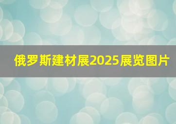 俄罗斯建材展2025展览图片