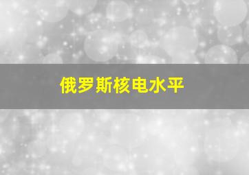 俄罗斯核电水平