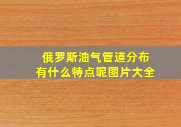 俄罗斯油气管道分布有什么特点呢图片大全