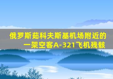 俄罗斯茹科夫斯基机场附近的一架空客A-321飞机残骸