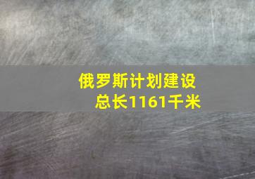 俄罗斯计划建设总长1161千米