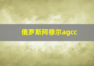 俄罗斯阿穆尔agcc