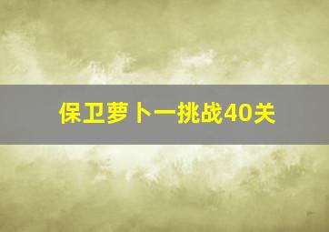 保卫萝卜一挑战40关