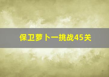 保卫萝卜一挑战45关