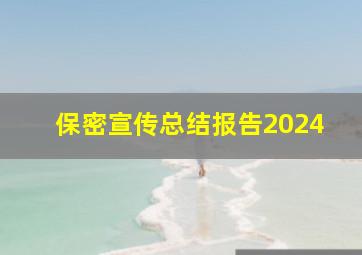 保密宣传总结报告2024