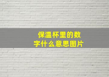 保温杯里的数字什么意思图片