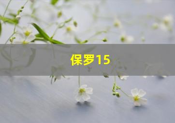 保罗15