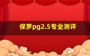 保罗pg2.5专业测评