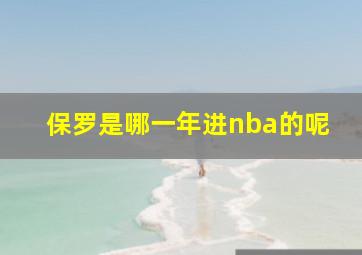 保罗是哪一年进nba的呢