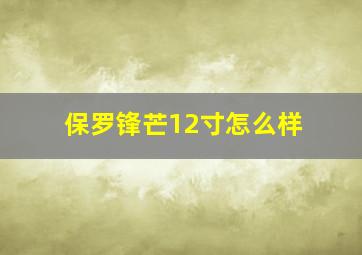 保罗锋芒12寸怎么样