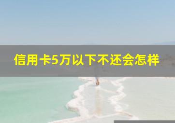 信用卡5万以下不还会怎样