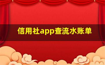 信用社app查流水账单