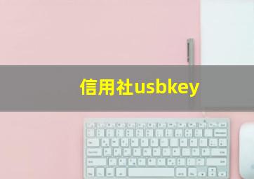 信用社usbkey