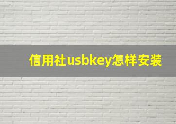 信用社usbkey怎样安装