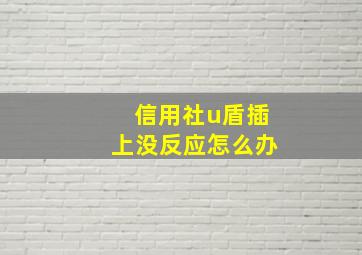 信用社u盾插上没反应怎么办